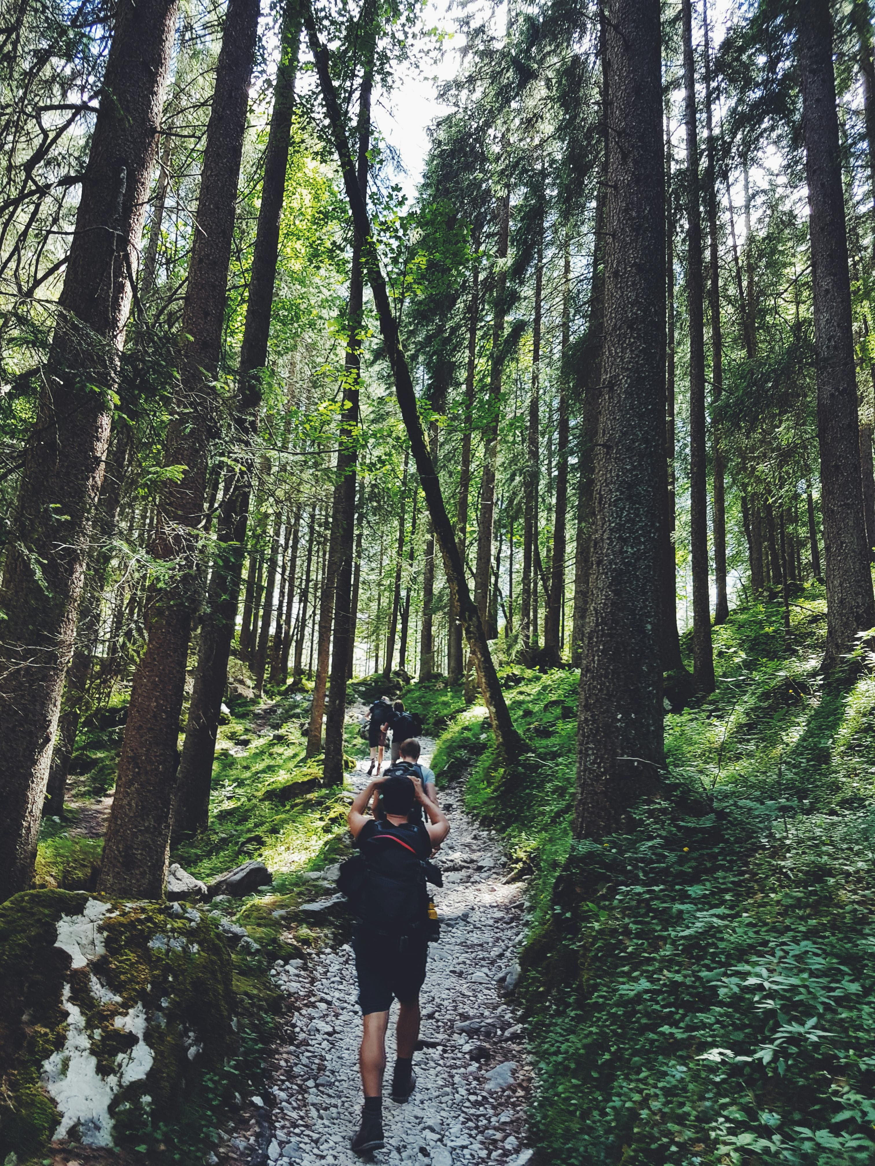 Dhulikhel Day Hike