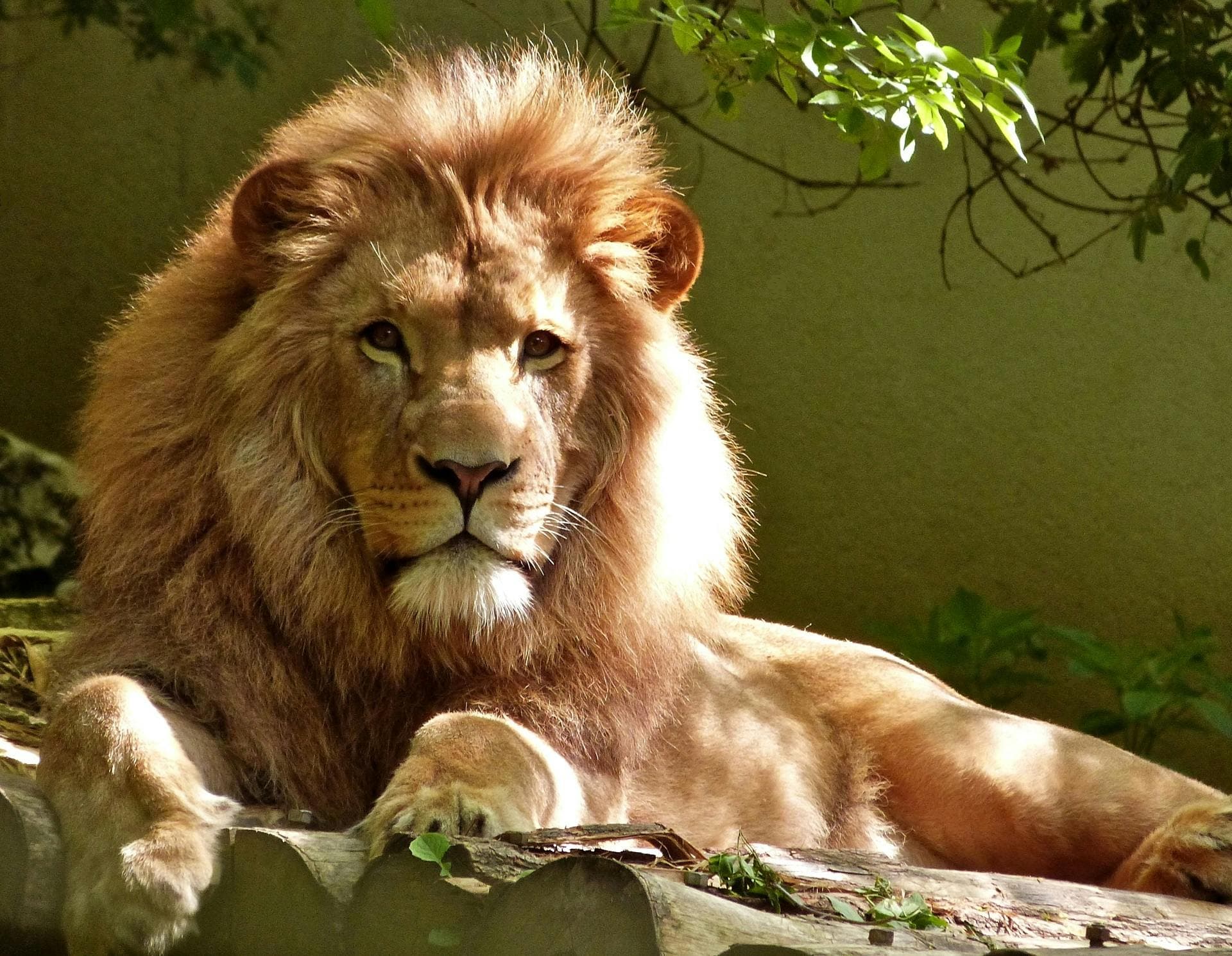 Bardia Wildlife Safari